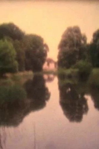 Movie poster for What Troubles the Peace at Brandenburg? (2011)