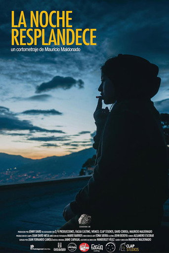 Movie poster for The Night Shines (2018)