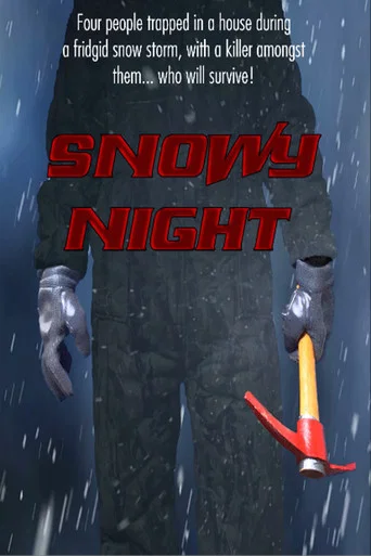 Movie poster for Snowy Night (2021)