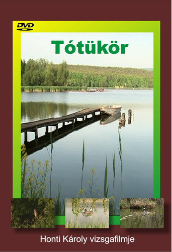 Movie poster for Tótükör (2010)