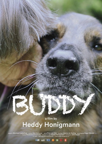 Movie poster for Buddy (2019)