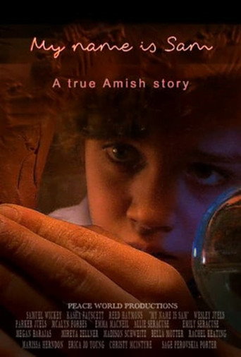 Movie poster for My Name Is Sam (2020)