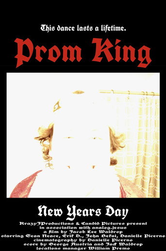Movie poster for Prom King (2024)