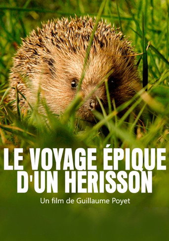 Movie poster for Le voyage épique d'un hérisson (2020)