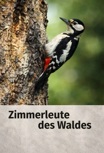 Movie poster for Woodpecker (1955)
