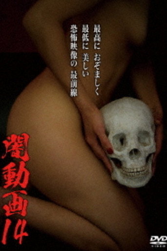 Movie poster for Tokyo Videos of Horror 14 (2016)
