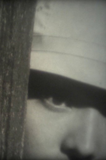 Delicate eyelashes poster