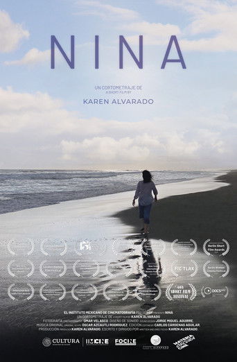 Nina poster
