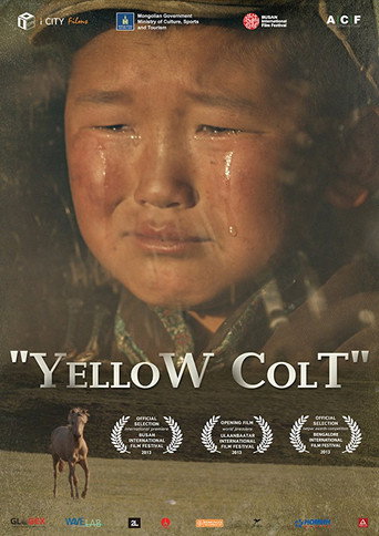 Movie poster for Yellow Colt (2014)