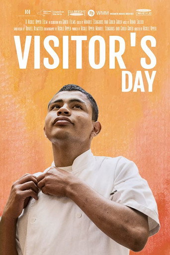 Movie poster for Visitor's Day (2017)