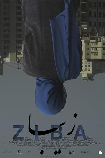 Movie poster for Ziba (2012)