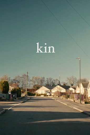 Movie poster for Kin