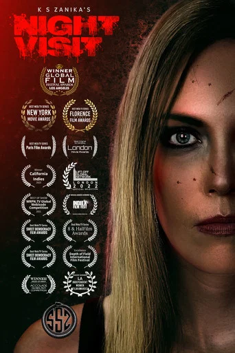 Movie poster for Night Visit