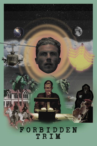 Movie poster for Forbidden Trim (2017)