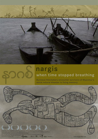 Movie poster for Nargis: When Time Stopped Breathing (2010)