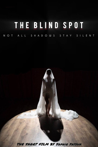Movie poster for The Blind Spot (2025)