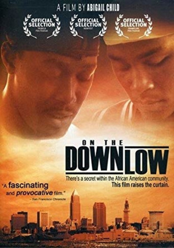 Movie poster for On the Downlow (2007)