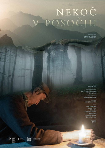 Once Upon a Time in Soča Valley poster