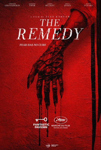 The Remedy poster