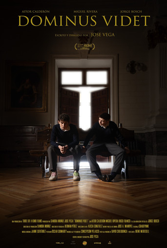 Dominus videt poster