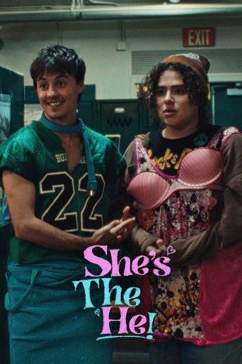 She's the He poster