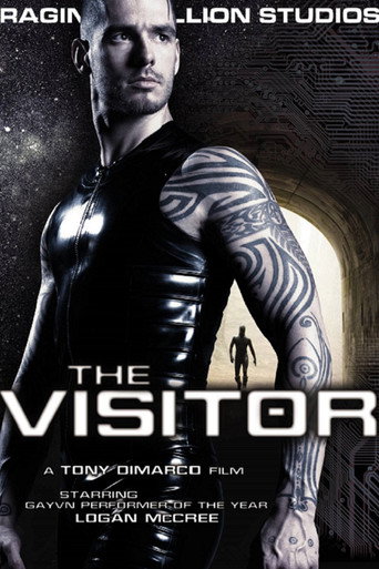 Movie poster for The Visitor (2009)