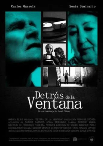 Movie poster for Behind the Window (2009)