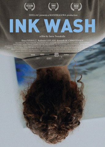 Movie poster for Ink Wash (2024)