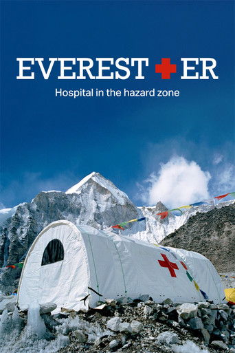 Everest ER poster