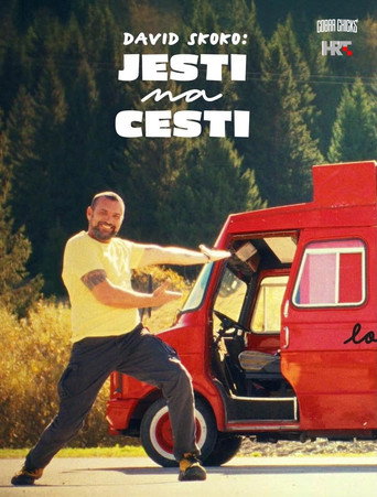 David Skoko: Jesti na cesti poster