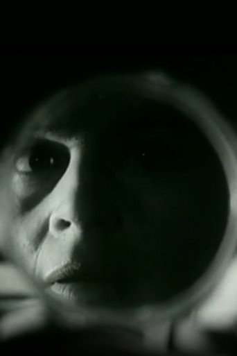 Movie poster for Evening (1964)