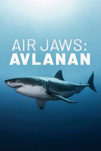 Movie poster for Air Jaws: The Hunted (2018)