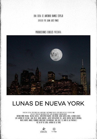 Movie poster for Lunas de Nueva York (2015)