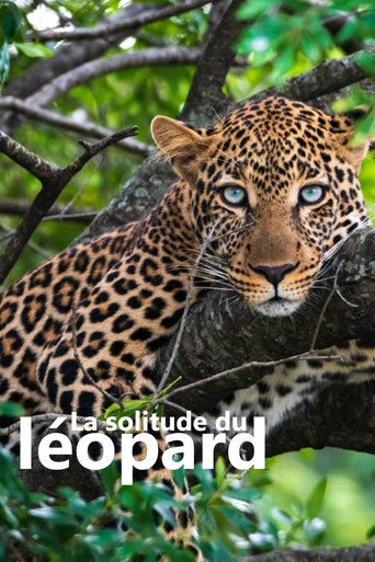 Movie poster for La solitude du léopard (2024)