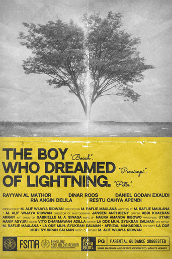 The Boy Who Dreamed of Lightning poster