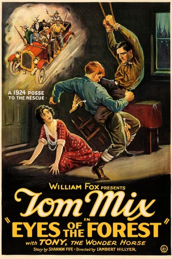 Movie poster for Eyes of the Forest (1923)