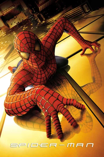 Movie poster for Spider-Man (2002)