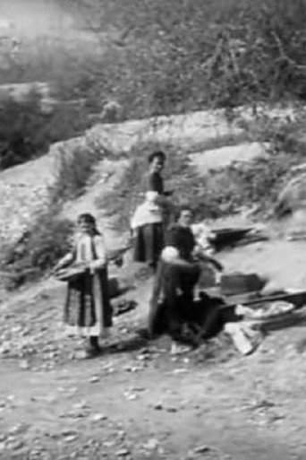 Movie poster for Washerwomen (1905)