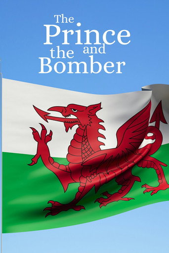 The Prince and the Bomber poster
