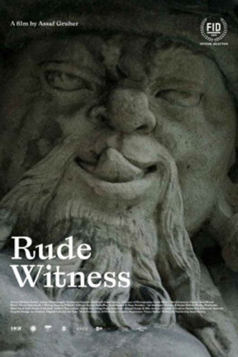 Movie poster for Rude Witness (2022)
