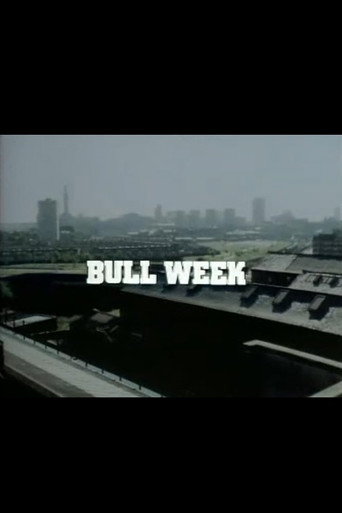 Series poster for Bull Week (1980)