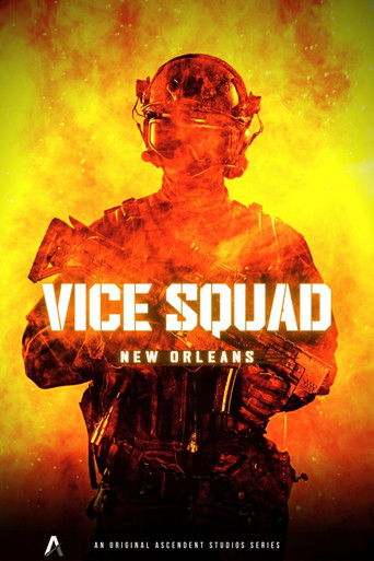 Vice Squad: New Orleans poster