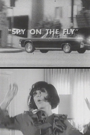 Movie poster for Spy on the Fly (1967)