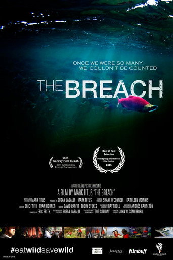 Movie poster for The Breach (2014)