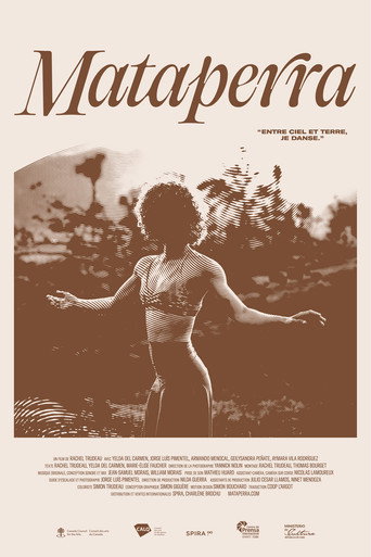 Mataperra poster