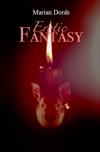 Movie poster for Erotic Fantasy (2011)