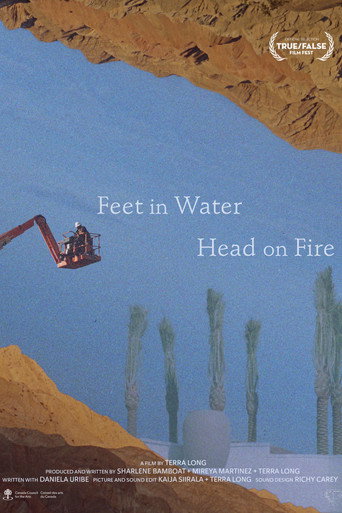 Movie poster for Feet in Water, Head on Fire (2023)
