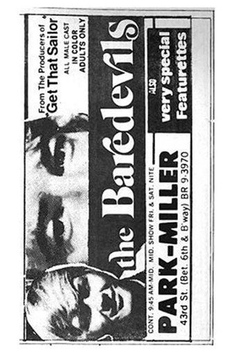 Movie poster for The Baredevils (1971)