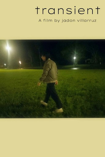 Movie poster for Transient (2023)