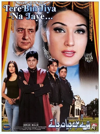 Movie poster for Tere Bin Jiya Na Jaye (2005)